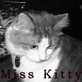 We love you forever, Kitty!