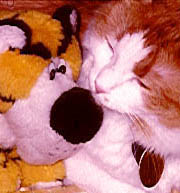 Kitty and her stuffed animal 'Tigey', March 1999.