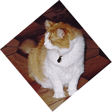 Kitty, June 2002.