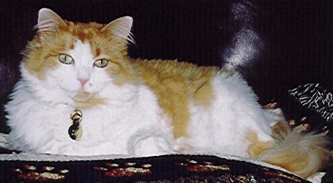 She was gorgeous, June 2002.
