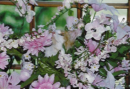 Flowers smell good, even if they ARE silk!